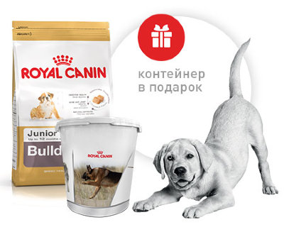 Royal Canin BULLDOG JUNIOR Корм для щенков Английского бульдога до 12 месяцев (АКЦИЯ) 