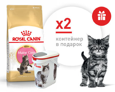 Royal Canin MAINE COON KITTEN Корм для котят породы мейн-кун в возрасте до 15 месяцев (АКЦИЯ) 