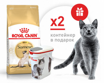 Royal Canin Siamese сухой корм для кошек сиамской породы (с курицей) (АКЦИЯ) 