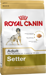Royal Canin SETTER ADULT Корм для Сеттеров старше 12 месяцев Сеттер — порода особенных английских охотничьих собак, прославившаяся своей грациозностью и красотой. Сеттеры — неплохие гонщики и крайне нуждаются в максимальном запасе энергии, который может обеспечить им правильное питание.